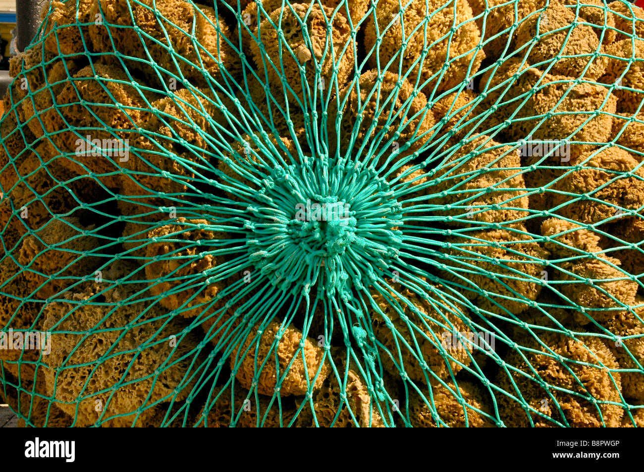 Tarpon Springs Fl spugna spugne di raccolta in filo verde cestello di raccolta in spugna industria comunità greca Tampa Bay Foto Stock