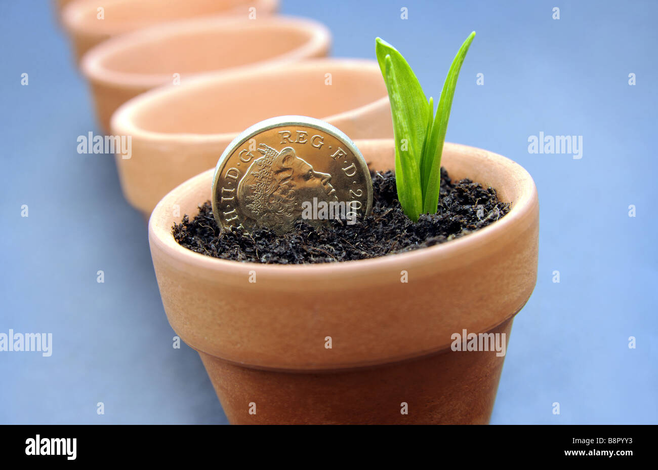 BRITISH POUND COIN 'crescita' CON GREENSHOOTS IN VASO...la ripresa economica/crescita i vostri risparmi... Foto Stock