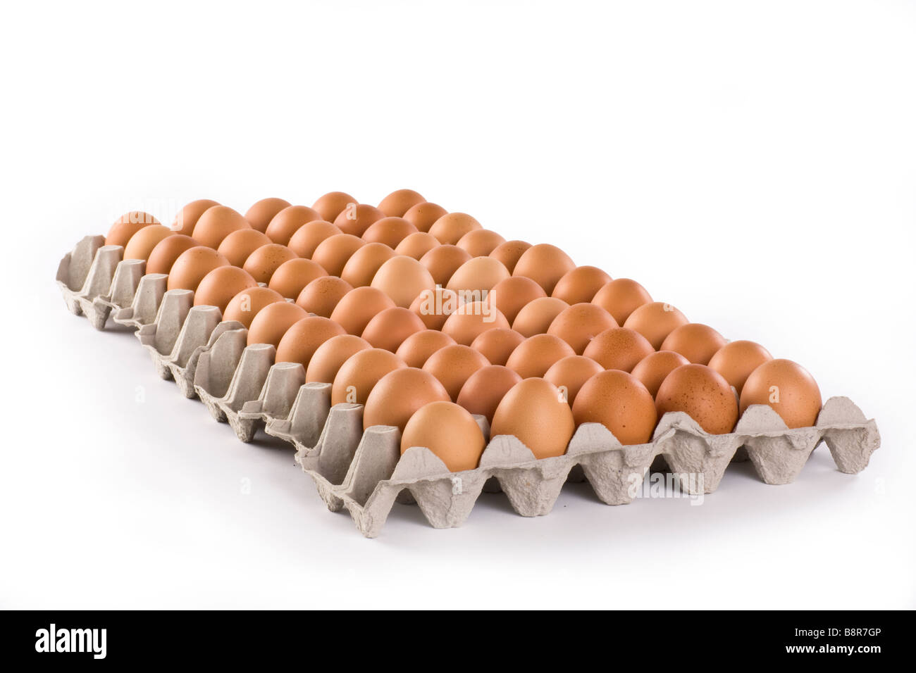 Uova di colore marrone in una scatola di cartone carta isolato su sfondo bianco Foto Stock