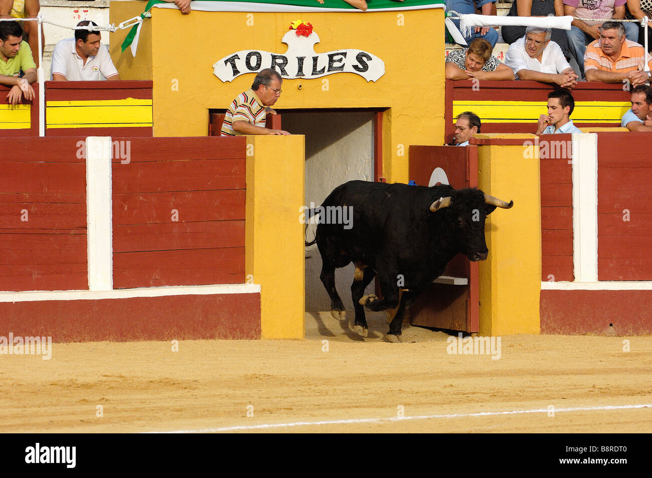 Torero a Fuengirola fair provincia di Malaga Andalusia Spagna Foto Stock