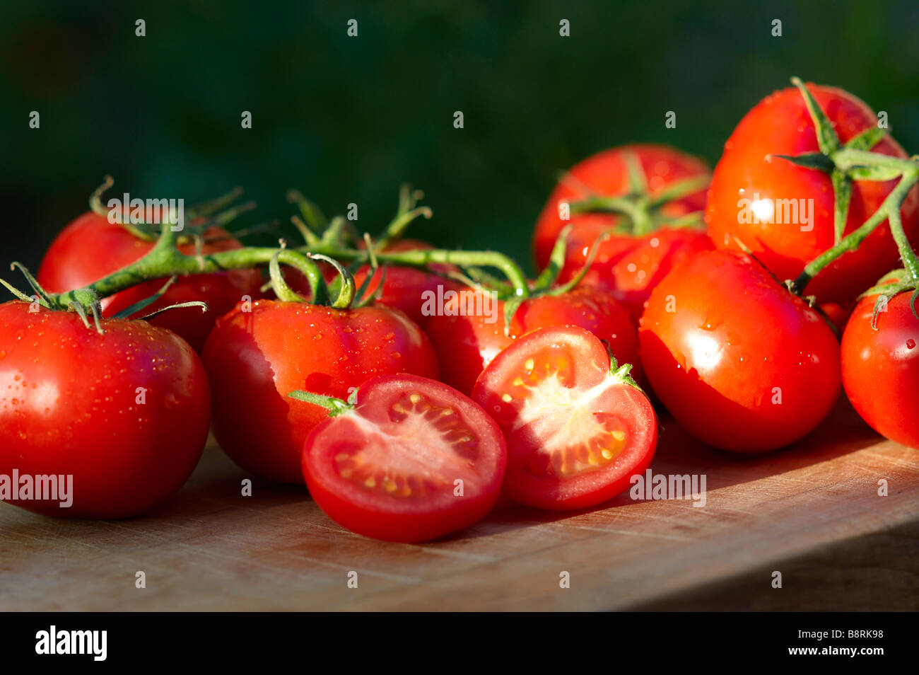 Appena raccolto cresciuto in casa organici di pomodori a grappolo Foto Stock