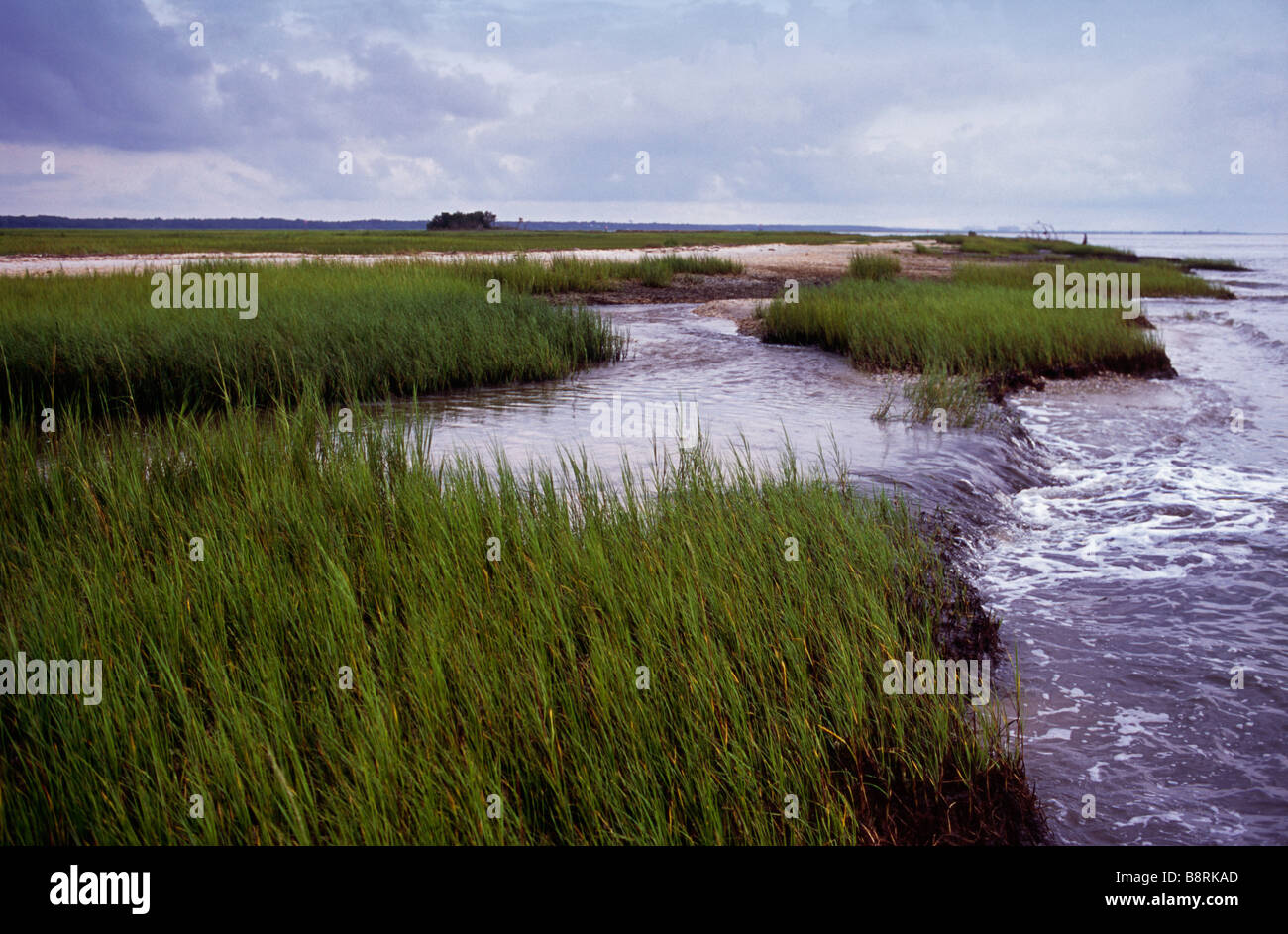 Acqua di sale palude con la marea in esecuzione fuori St Marys River Amelia Island Florida Foto Stock