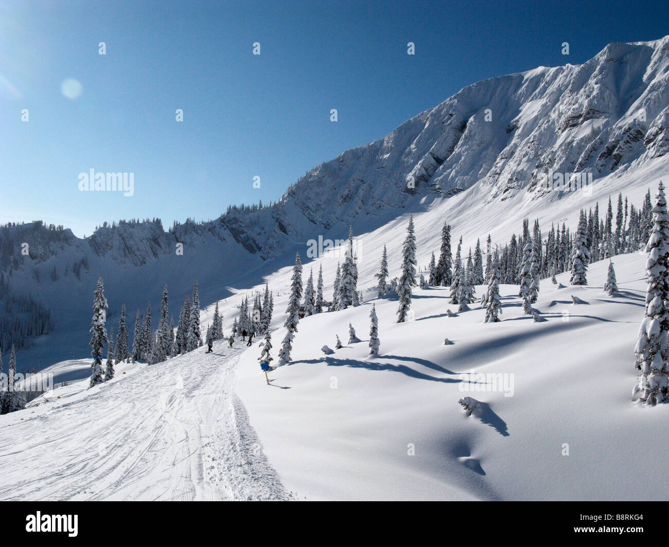 Colpo di neve fresca e di pini nella gamma della montagna in Fernie Canada Foto Stock
