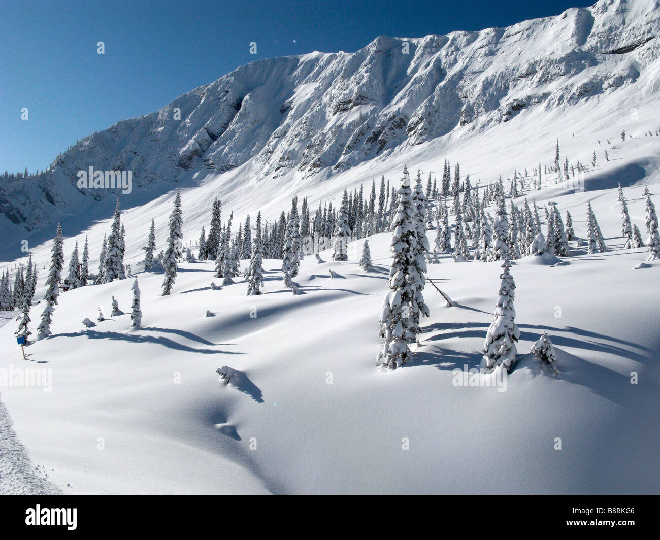 Colpo di neve fresca e di pini nella gamma della montagna in Fernie Canada Foto Stock