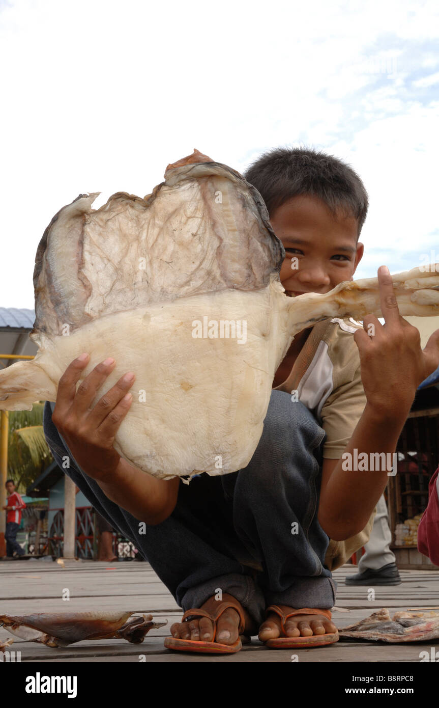 Ragazzo holding essiccato octopus Semporna Sabah Borneo malese del sud-est asiatico Foto Stock