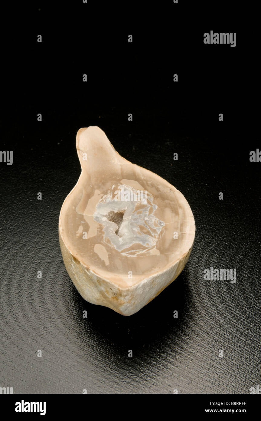 Taglio trasversale di una roccia con formazioni di cristalli nella roccia su sfondo nero Foto Stock