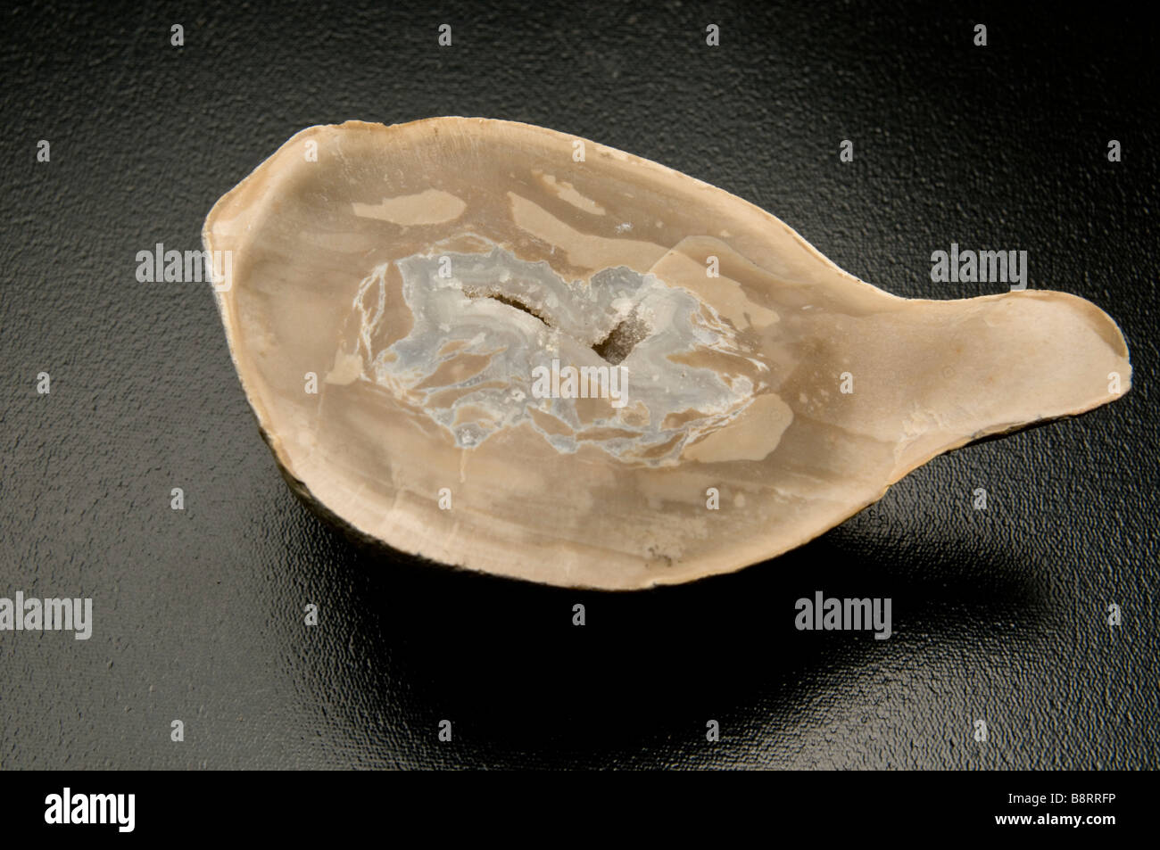 Taglio trasversale di una roccia con formazioni di cristalli nella roccia su sfondo nero Foto Stock