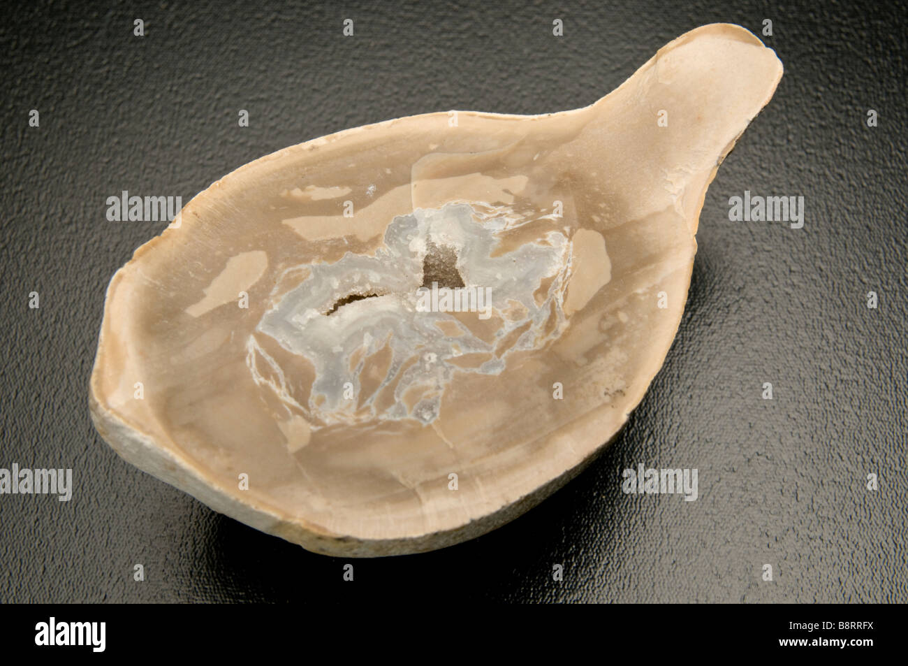 Taglio trasversale di una roccia con formazioni di cristalli nella roccia su sfondo nero Foto Stock