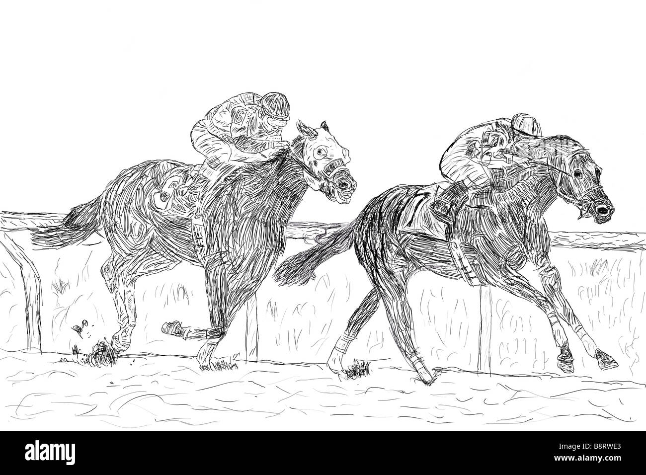 Penna e inchiostro di disegno di un cavallo di razza Foto Stock