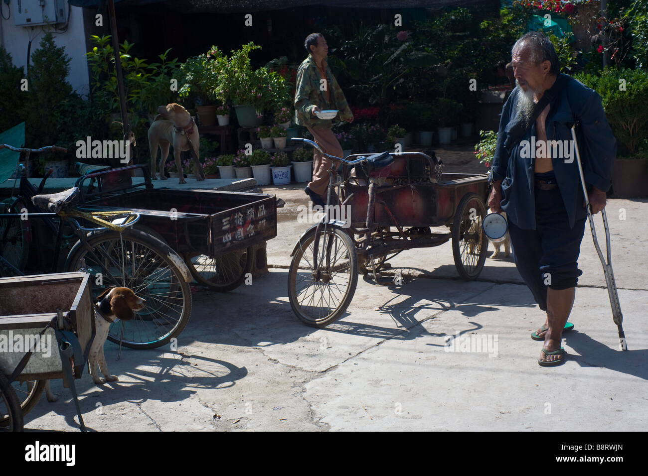 Anziani disabili uomo al mercato della città vecchia di Lijiang, nella provincia dello Yunnan in Cina. Foto Stock