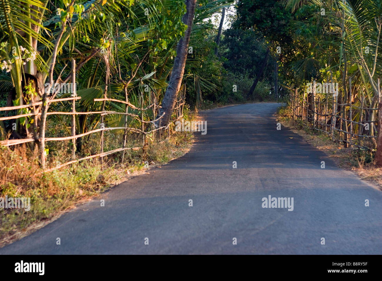 Strada curva circondato da recinto attraverso la foresta tropicale. Foto Stock