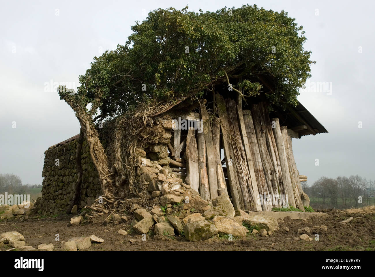 Cottage in rovina a Bois Thibault, Lassay Les Châteaux, Mayenne, Francia Foto Stock