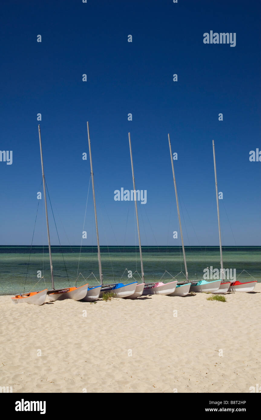 Catamarani alla spiaggia per Dunsborough in Western Australia del Sud Ovest Foto Stock