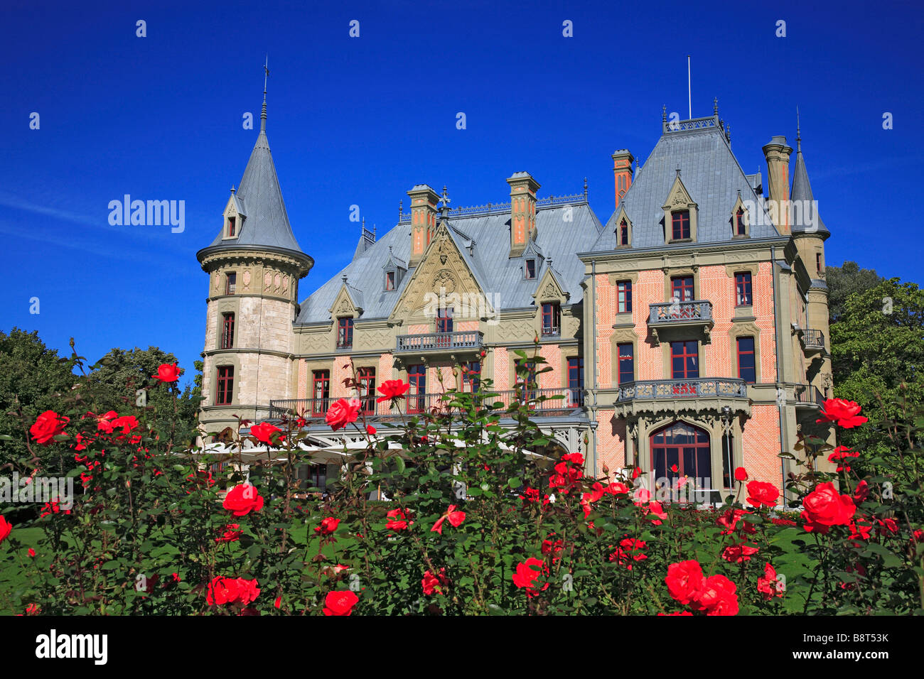 Chateau Schadau presso il lago di Thun il cantone di Berna Svizzera Thunersee Foto Stock