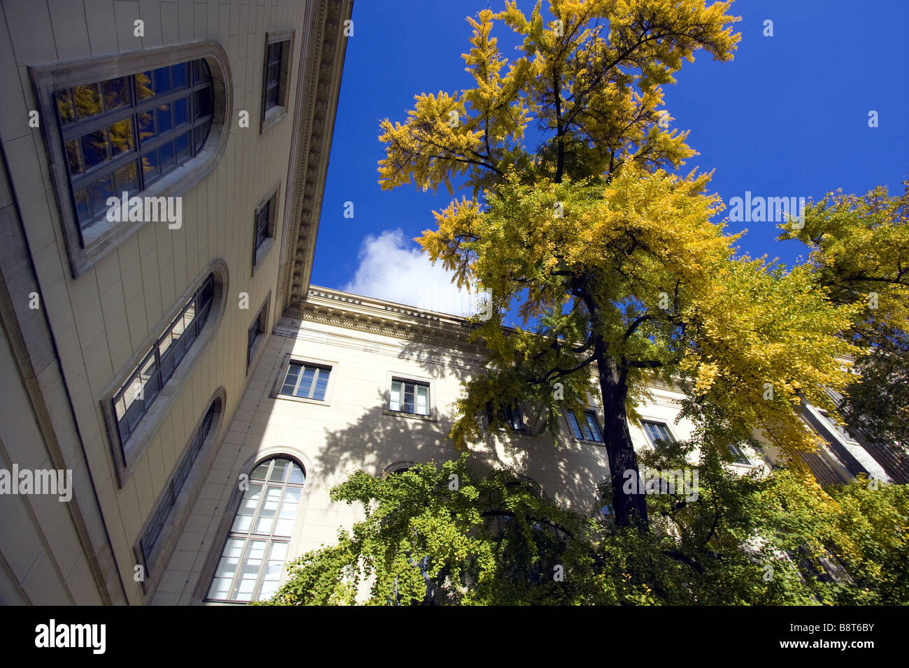 Humboldt University, Germania Berlino Foto Stock