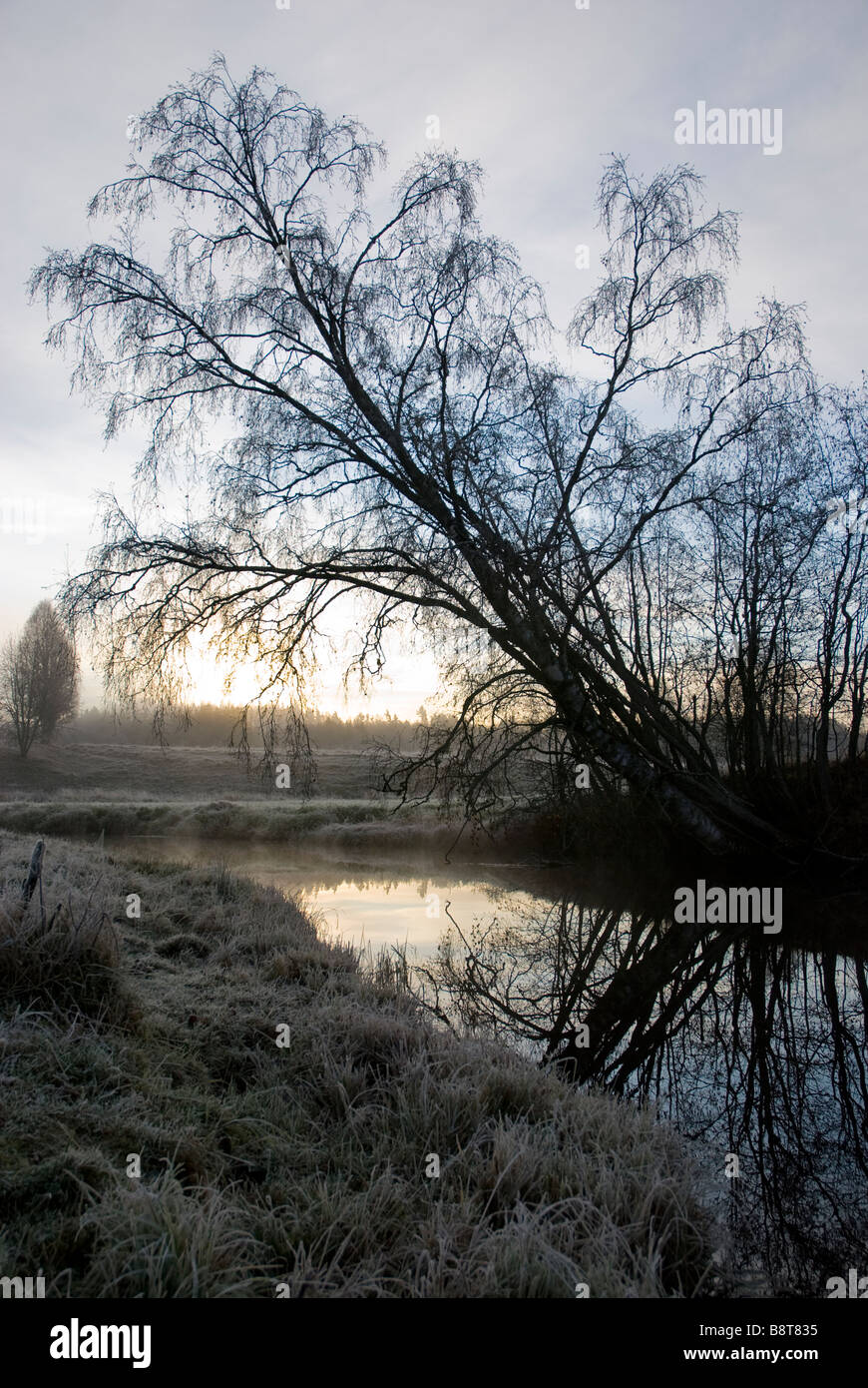 Cold Winter sunrise oltre una nebbiosa creek Foto Stock