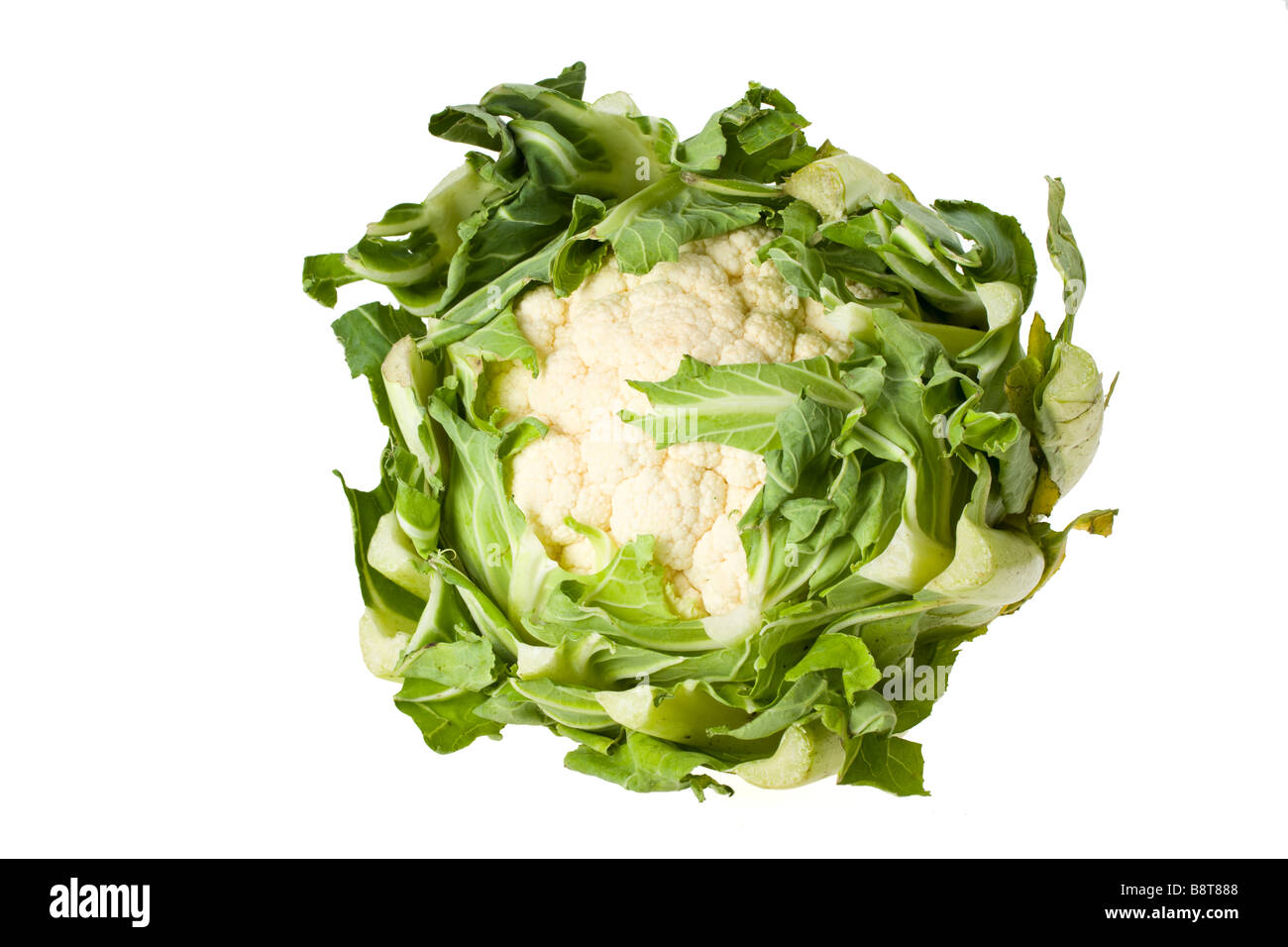 Unico vegetale di cavolfiore isolato su bianco Foto Stock