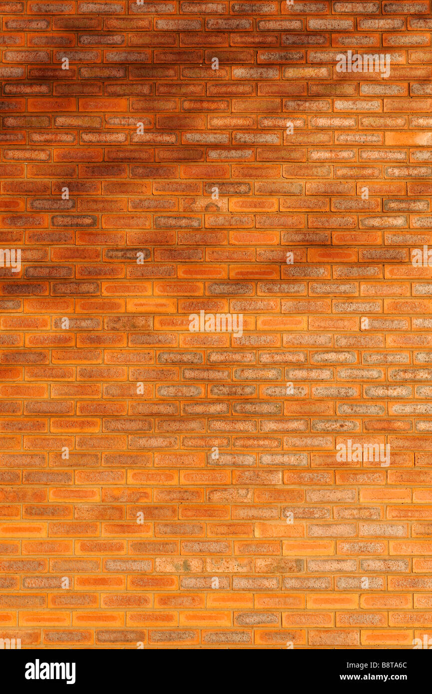 Muro di mattoni Foto Stock