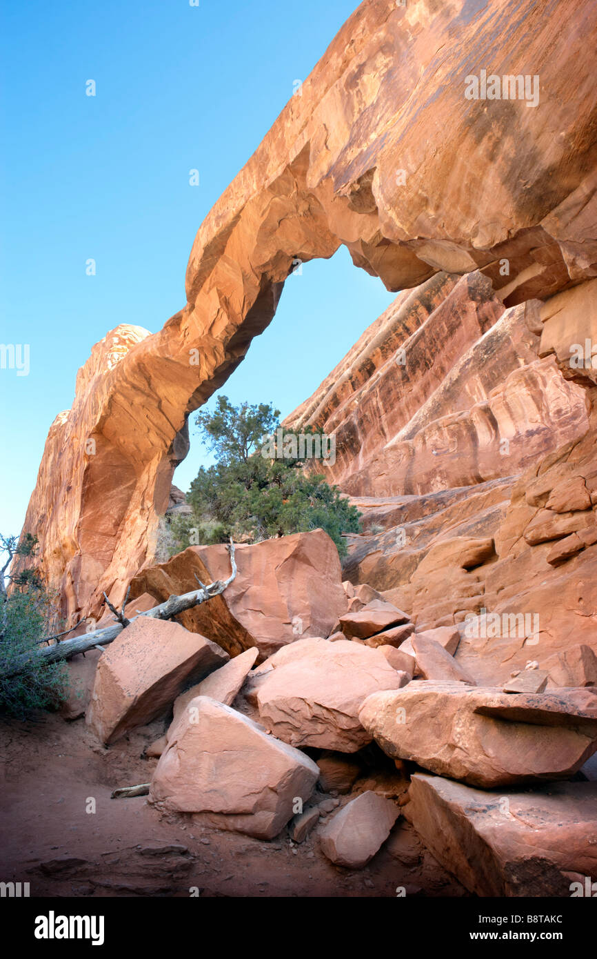 Arco di parete in Arches National Park nello Utah Stati Uniti d'America Foto Stock