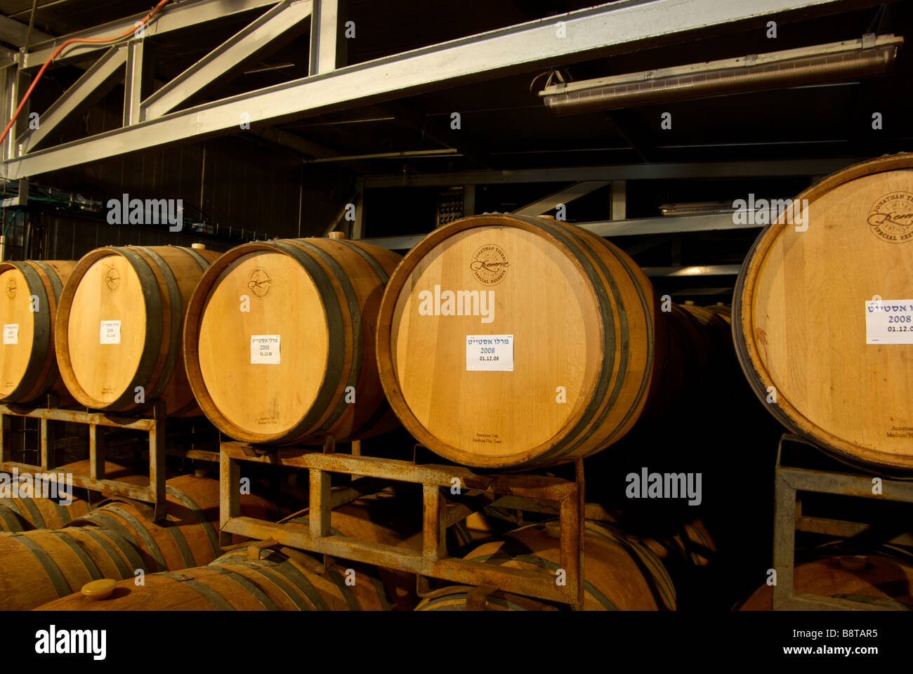 Botti di rovere americano rifornite di vino invecchiato presso la piccola azienda vinicola Tishbi Estate a conduzione familiare Foto Stock