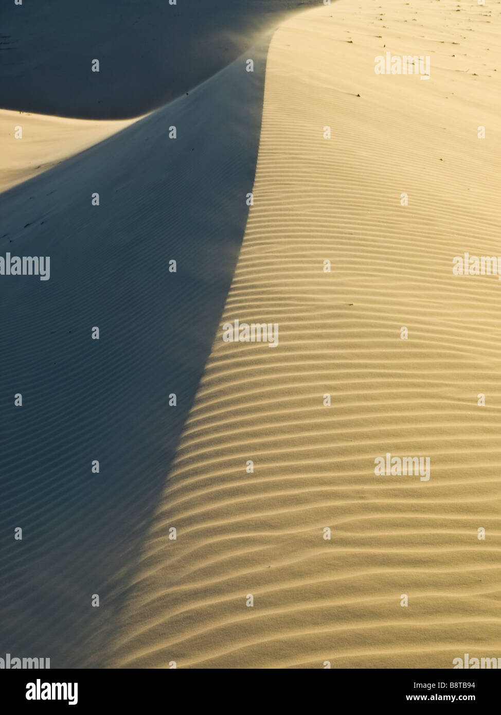 Dune del deserto in Lençois Maranhenses national park, Maranhao membro, nel nordest del Brasile. Foto Stock