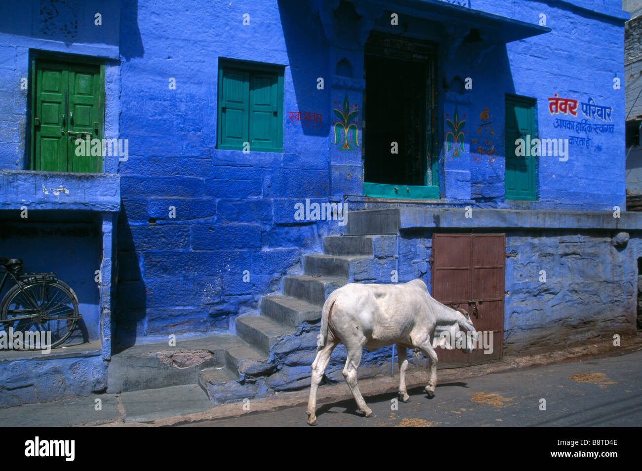 Blu case bramino Jodhpur India Foto Stock