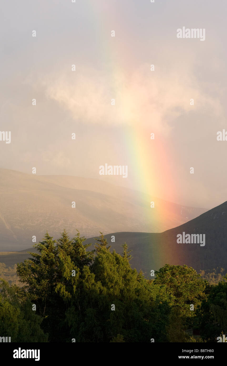 Rainbow su Lairig Ghru pass visto attraverso la foresta Rothiemurchus nei Cairngorms, Scozia. Foto Stock
