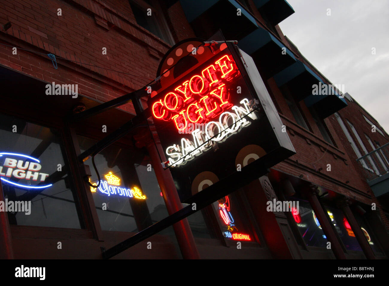 Coyote Ugly saloon bar segno Ybor City Tampa Florida USA Foto Stock