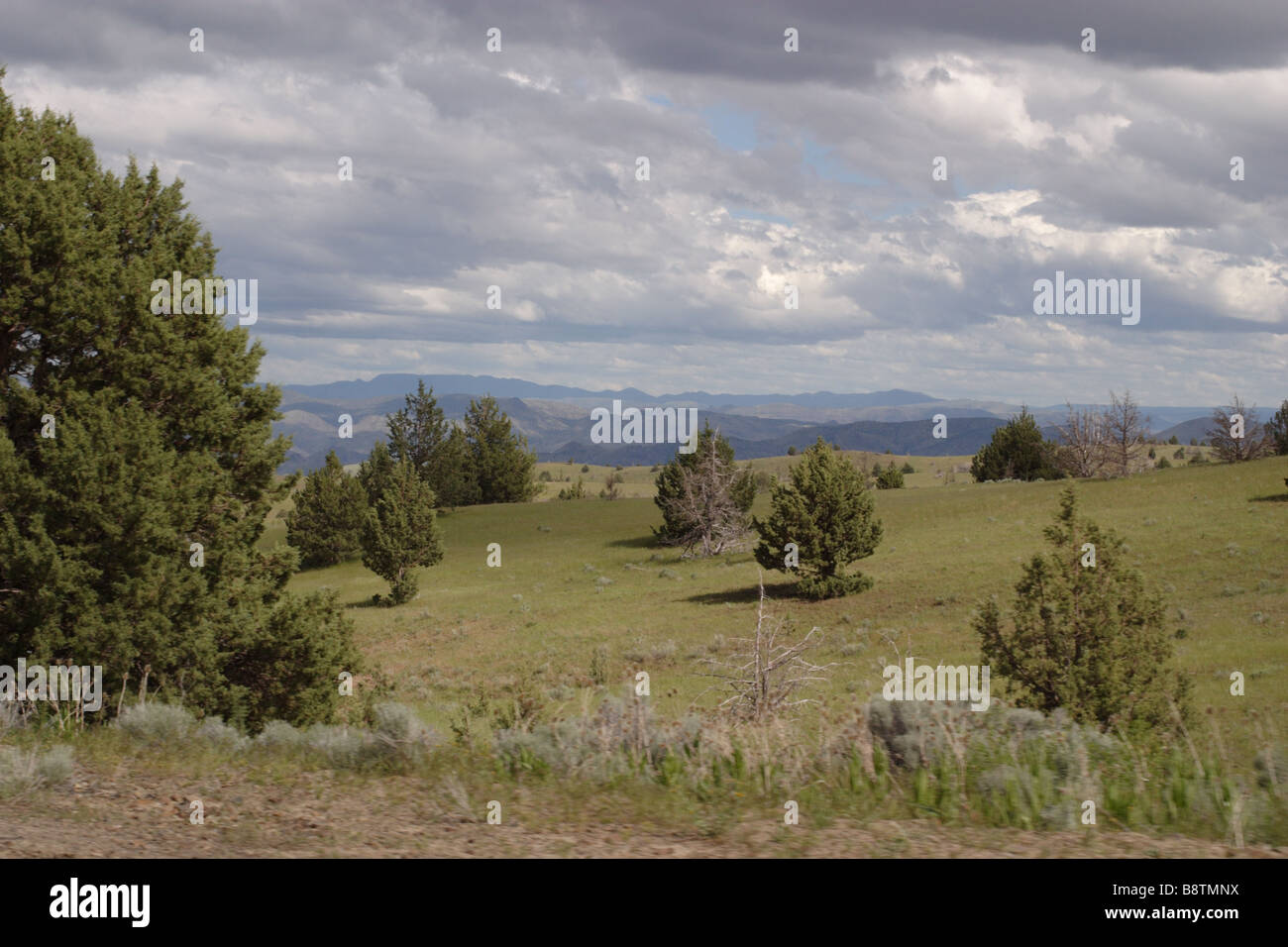 Paesaggio di Oregon Foto Stock