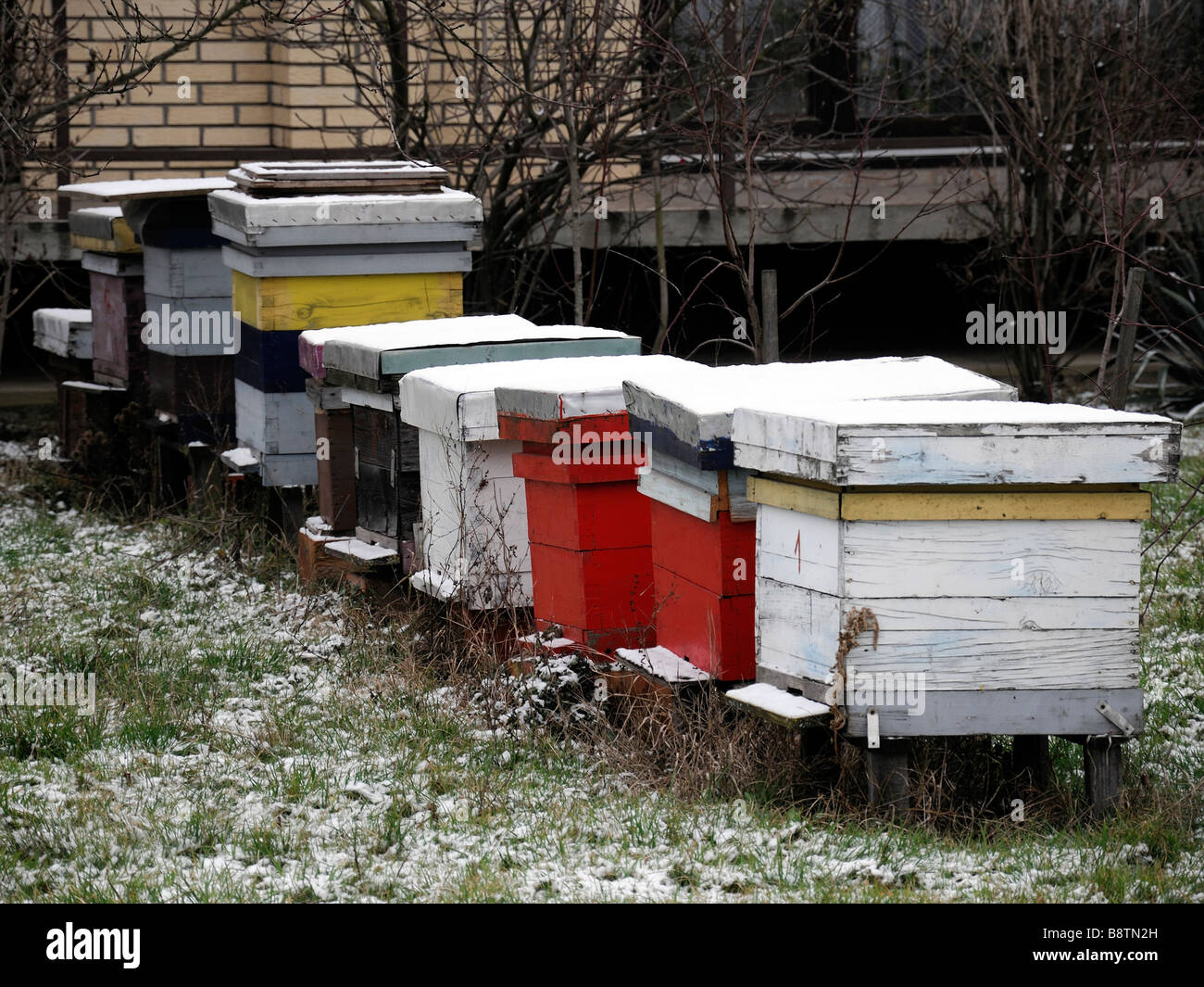 Gelo della neve coperto di copertura fatta in casa di legno di legno Honey Bee Apis mellifera alveari alveari nel giardino di una casa bosnia BALCANI Foto Stock