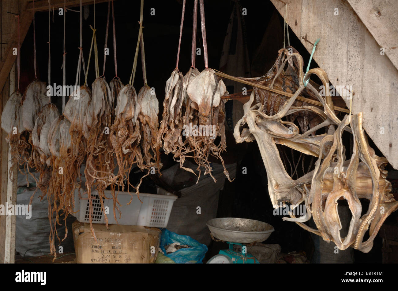 Pesci secchi in stallo Semporna Sabah Borneo malese del sud-est asiatico Foto Stock