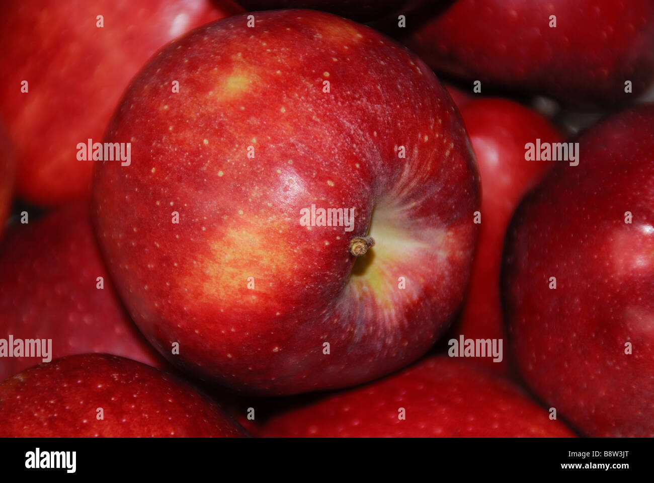 Una mela rossa Foto Stock