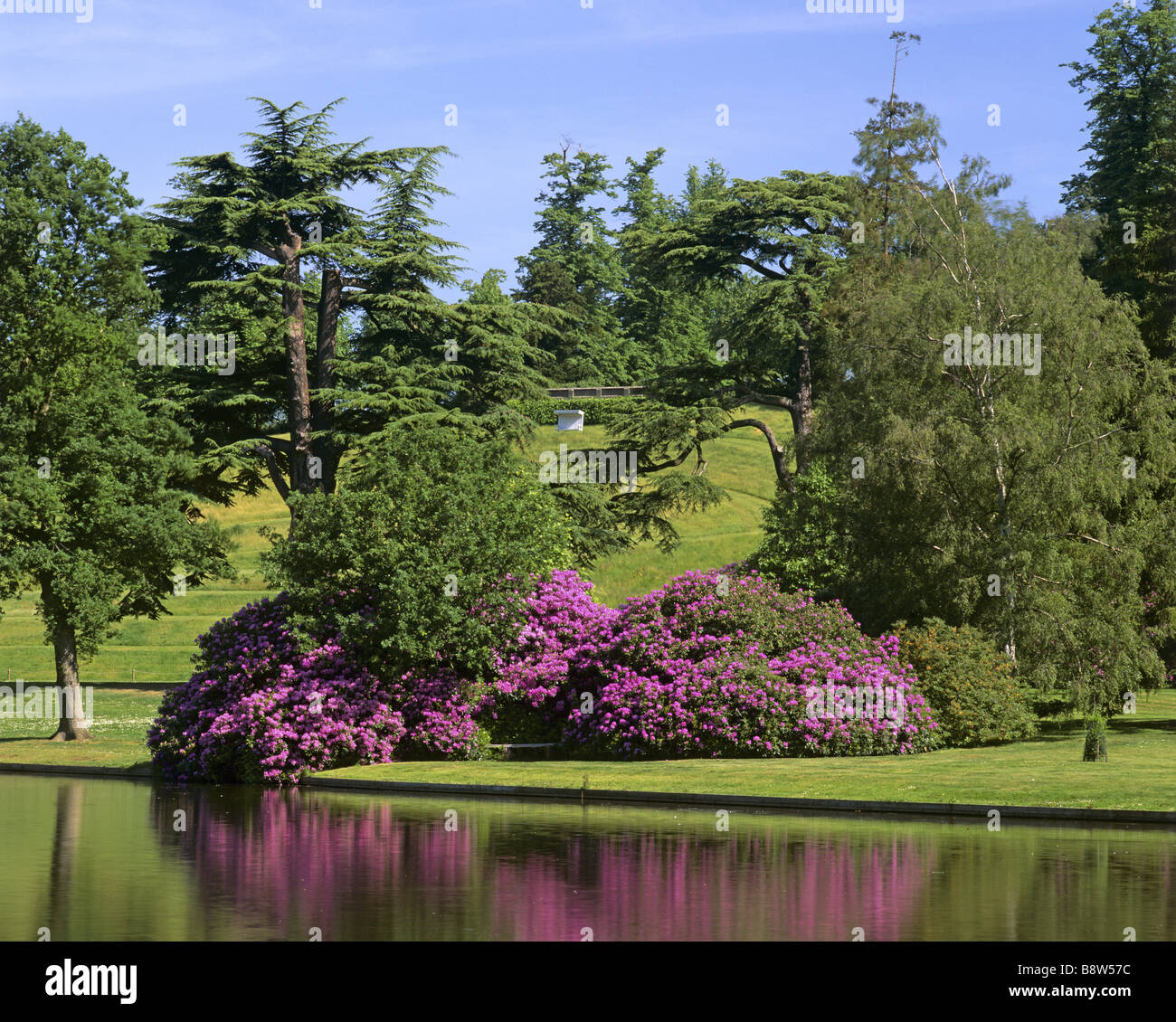 L'Anfiteatro viste attraverso il lago presso la Claremont il layout è parzialmente oscurato da alberi e una rosa di rododendro Foto Stock L'Anfiteatro viste attraverso il lago presso la Claremont il layout è parzialmente oscurato da alberi e una rosa di rododendro Foto Stock