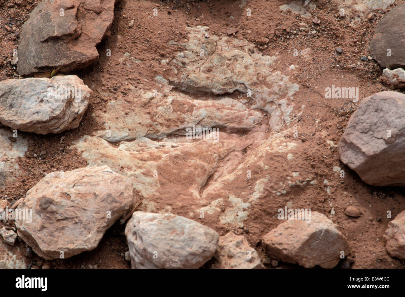 Fossili di dinosauro impronta su Navajo Lands vicino a Tuba City, Arizona. Fotografia Foto Stock