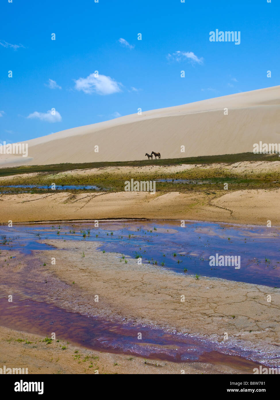 Il paesaggio del deserto su un isola fluviale nel Delta delle Americhe, Parnaíba, Piaui, nel Nordest del Brasile. Foto Stock