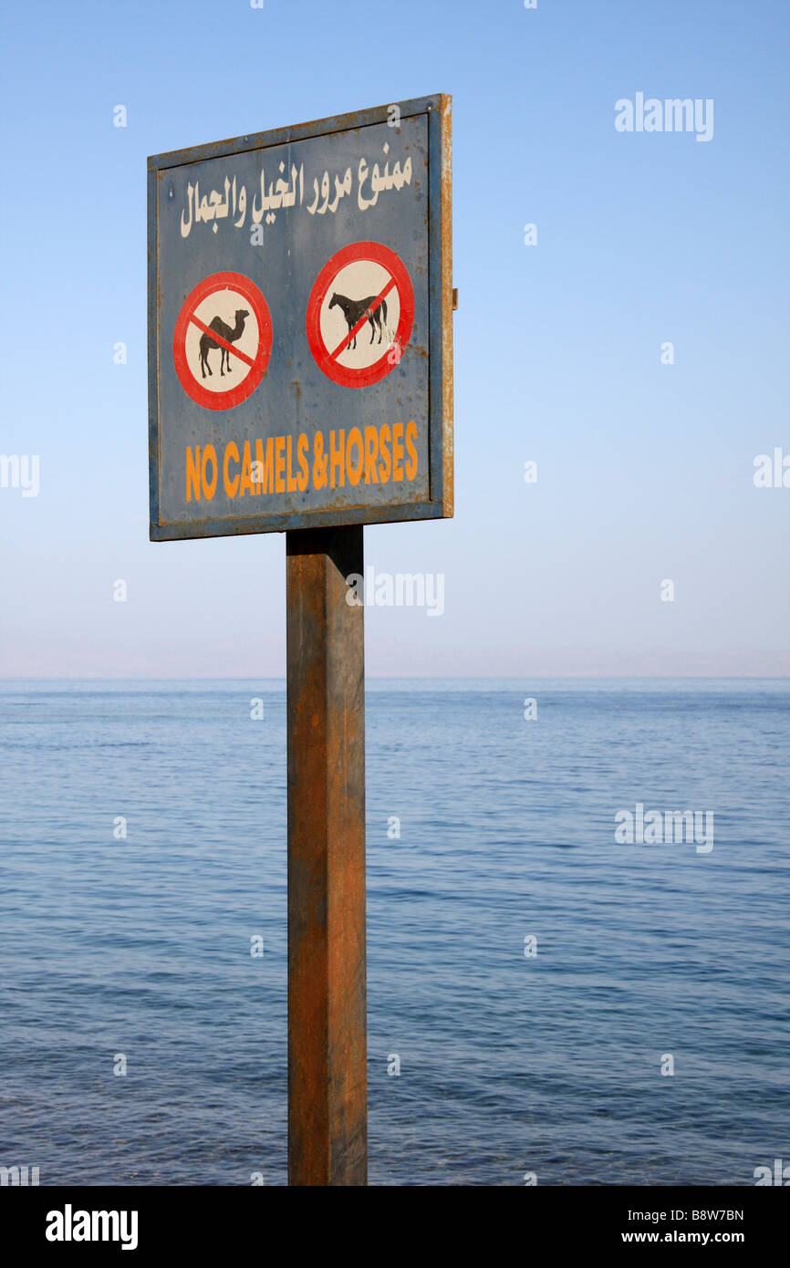 Divertente segno che vieta cammelli e cavalli sul lungomare di Dahab, Egitto Foto Stock
