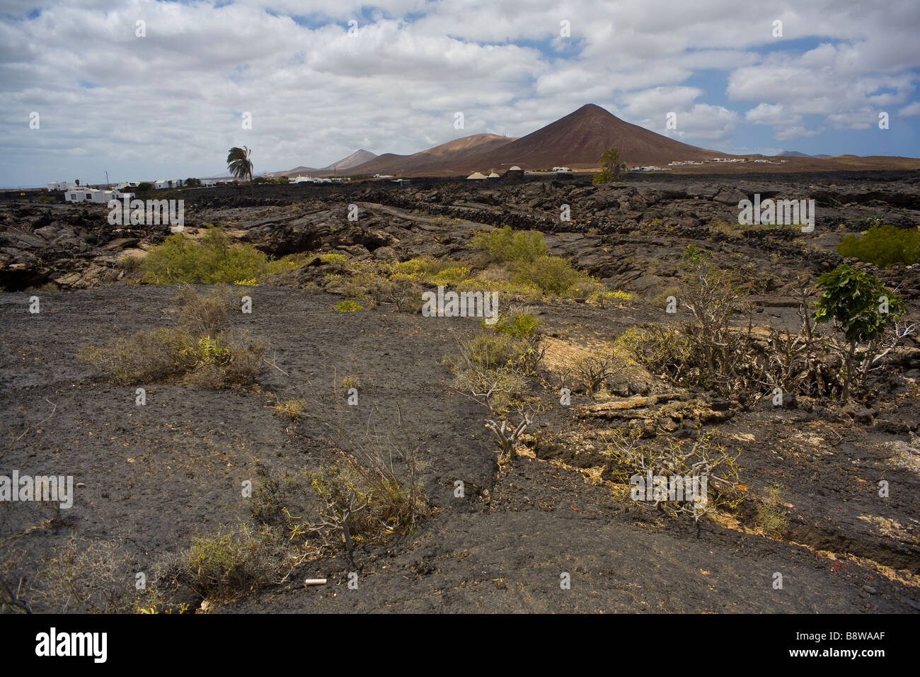 Il villaggio di Tahiche perso nella pianura vulcanica dell'isola di Lanzarote. Foto Stock