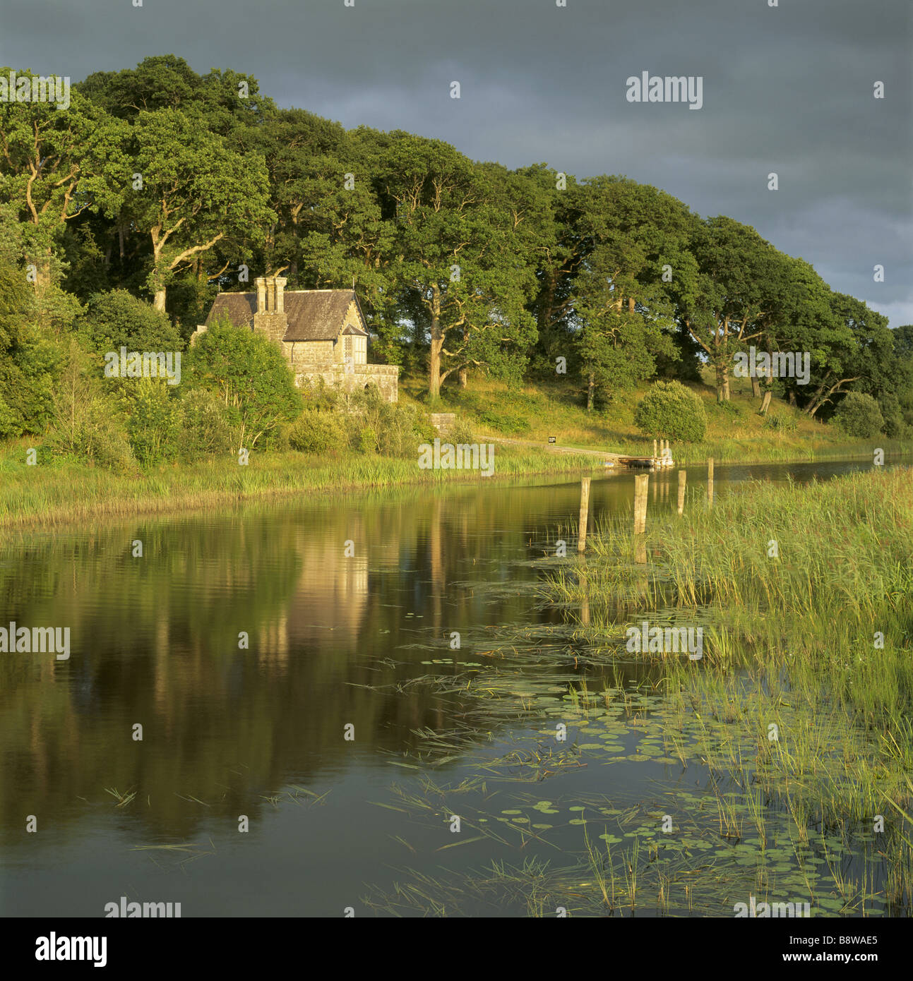 Una vista del castello di Crom boathouse guardando verso est dal ponte bianco Foto Stock