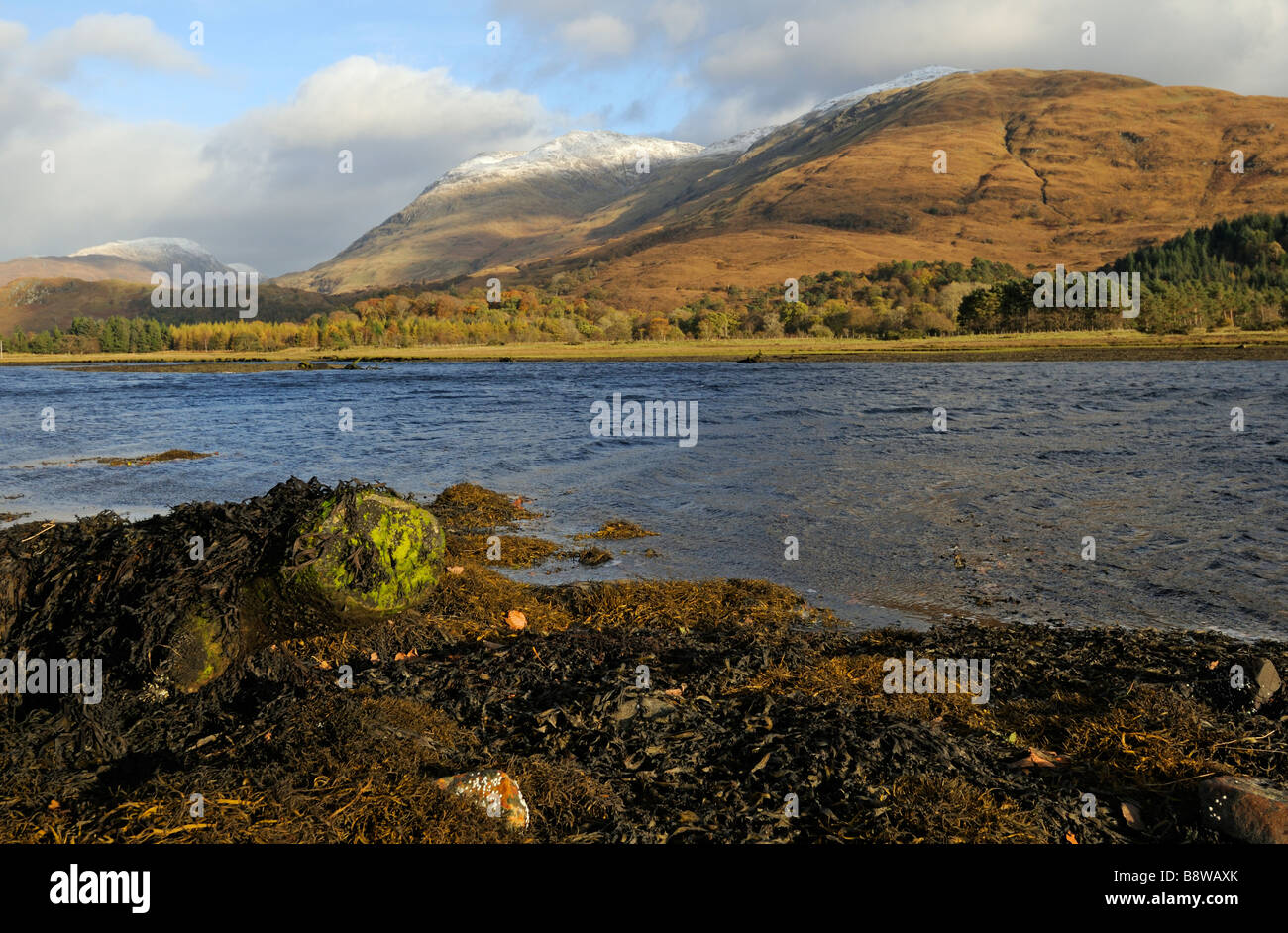 Loch Creran Foto Stock