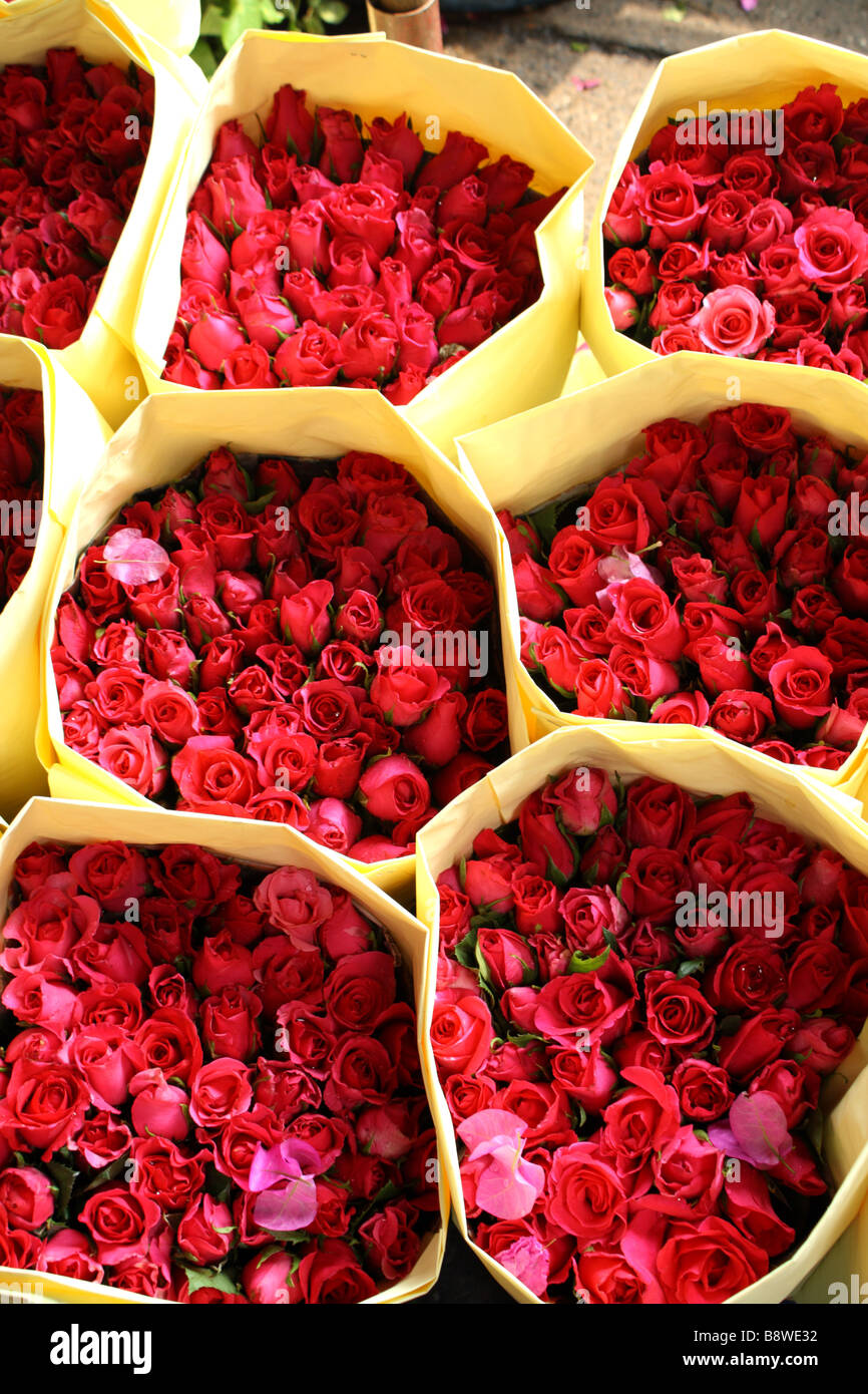 Fiori in vendita , Pak Khlong Talat , Il mercato dei fiori , Bangkok , Thailandia Foto Stock
