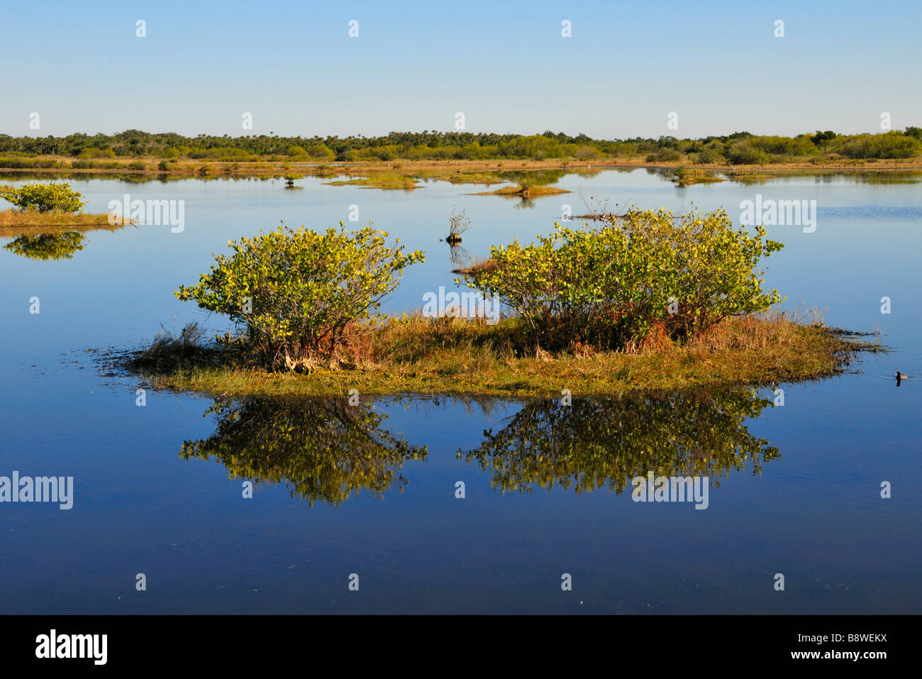 Merritt Island National Wildlife Refuge Foto Stock