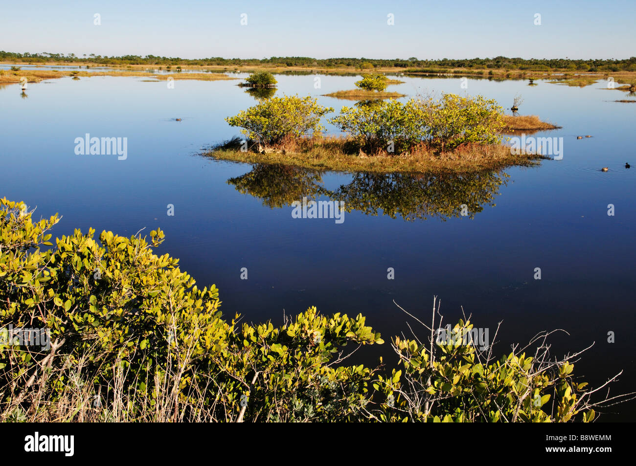 Merritt Island National Wildlife Refuge Foto Stock