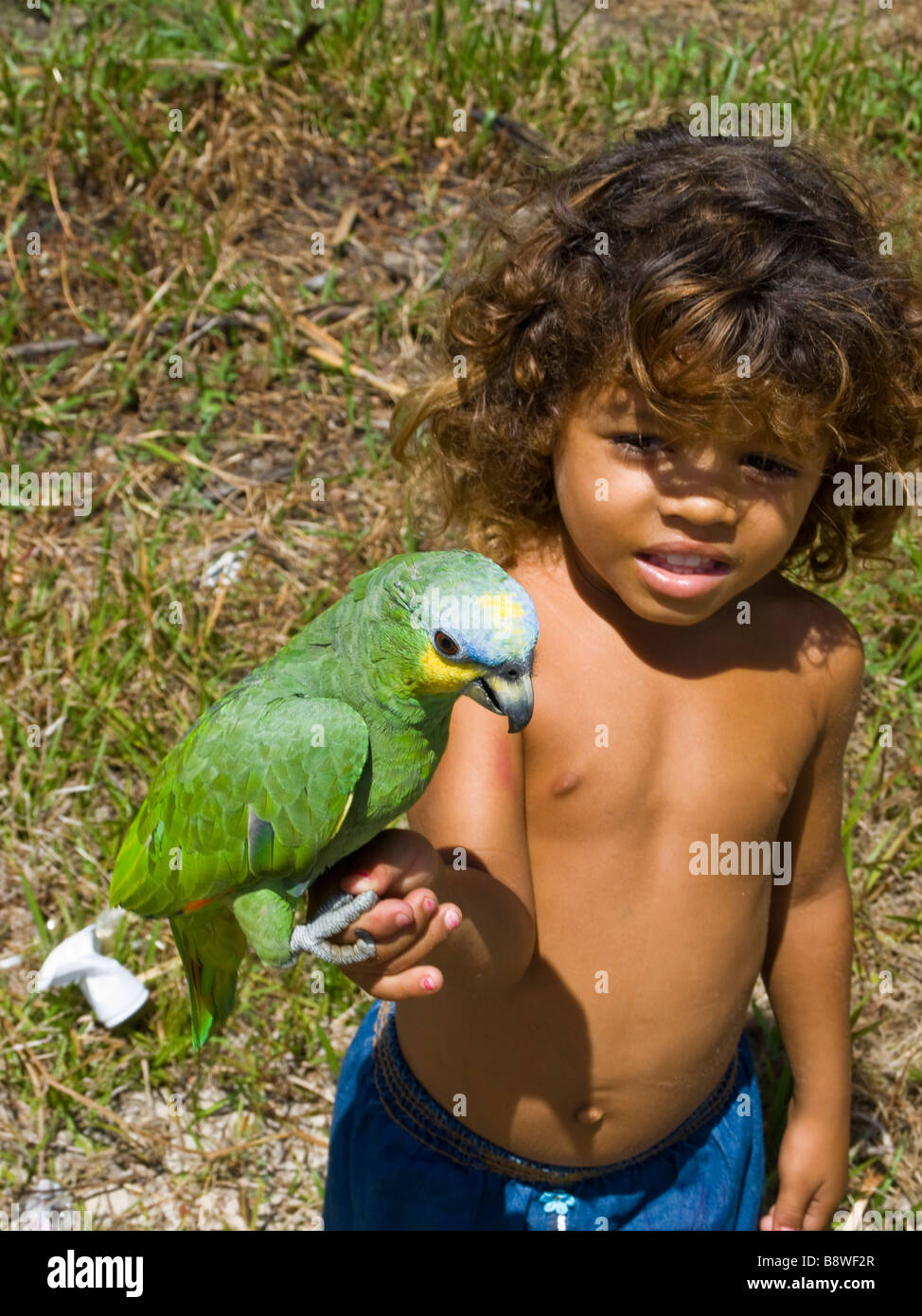 Piccolo Ragazzo nativo tenendo un pappagallo, Atins, Stato di Maranhão, nel nordest del Brasile. Foto Stock