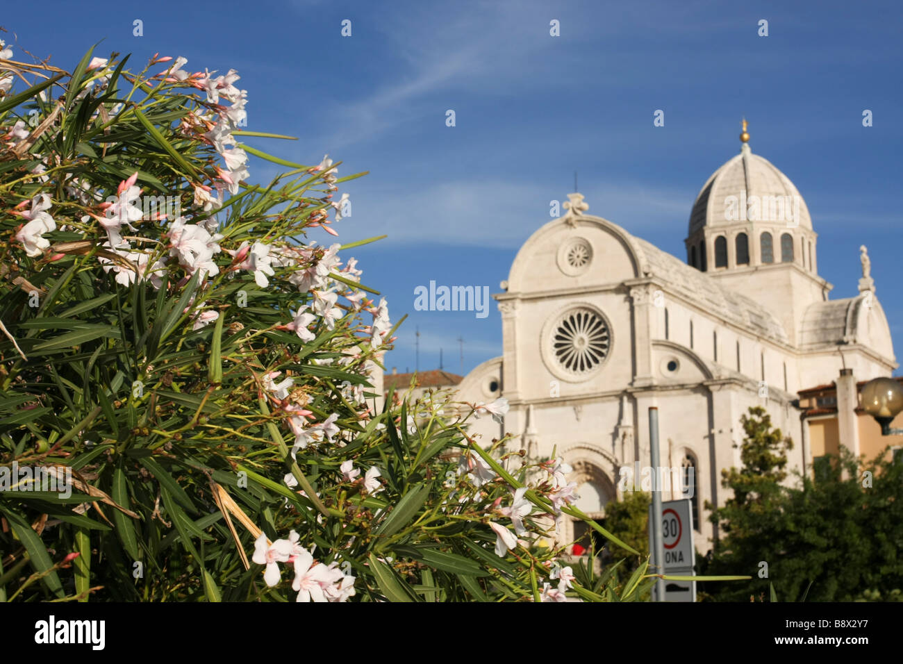 Vista di St James Cathedral sopra gli alberi e i fiori in Sibenik Croazia Foto Stock