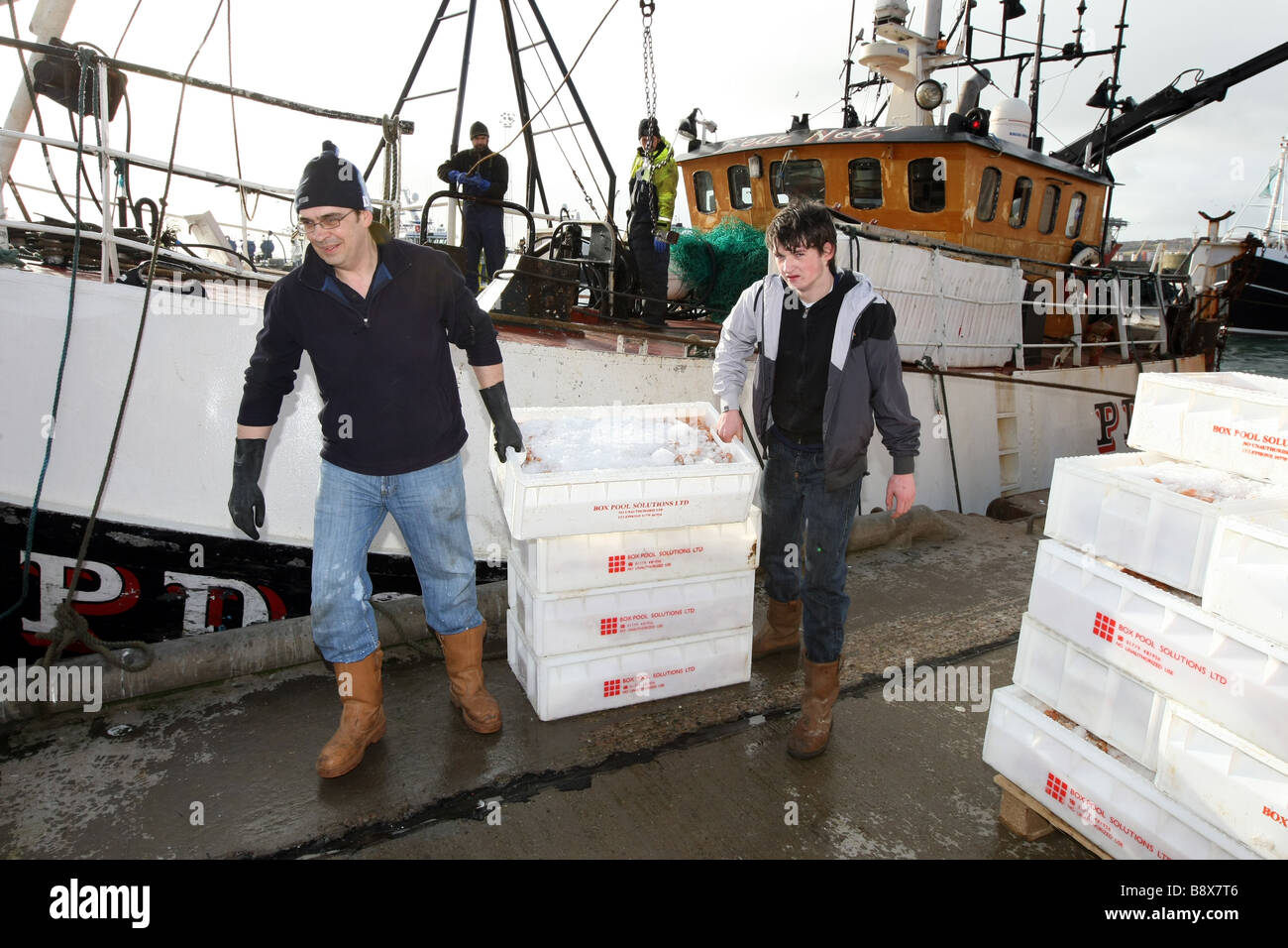 Lo scarico di pesce da un peschereccio per traino a Peterhead Harbour, Scozia, il più grande pesce bianco porto nel Regno Unito Foto Stock