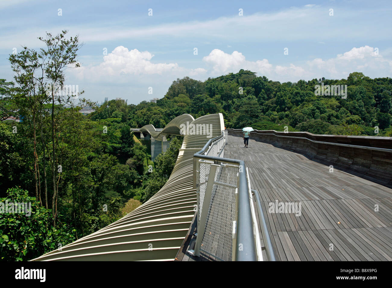 Le massicce ondate di Henderson passerella è parte del sud creste sentiero in Singapore Foto Stock