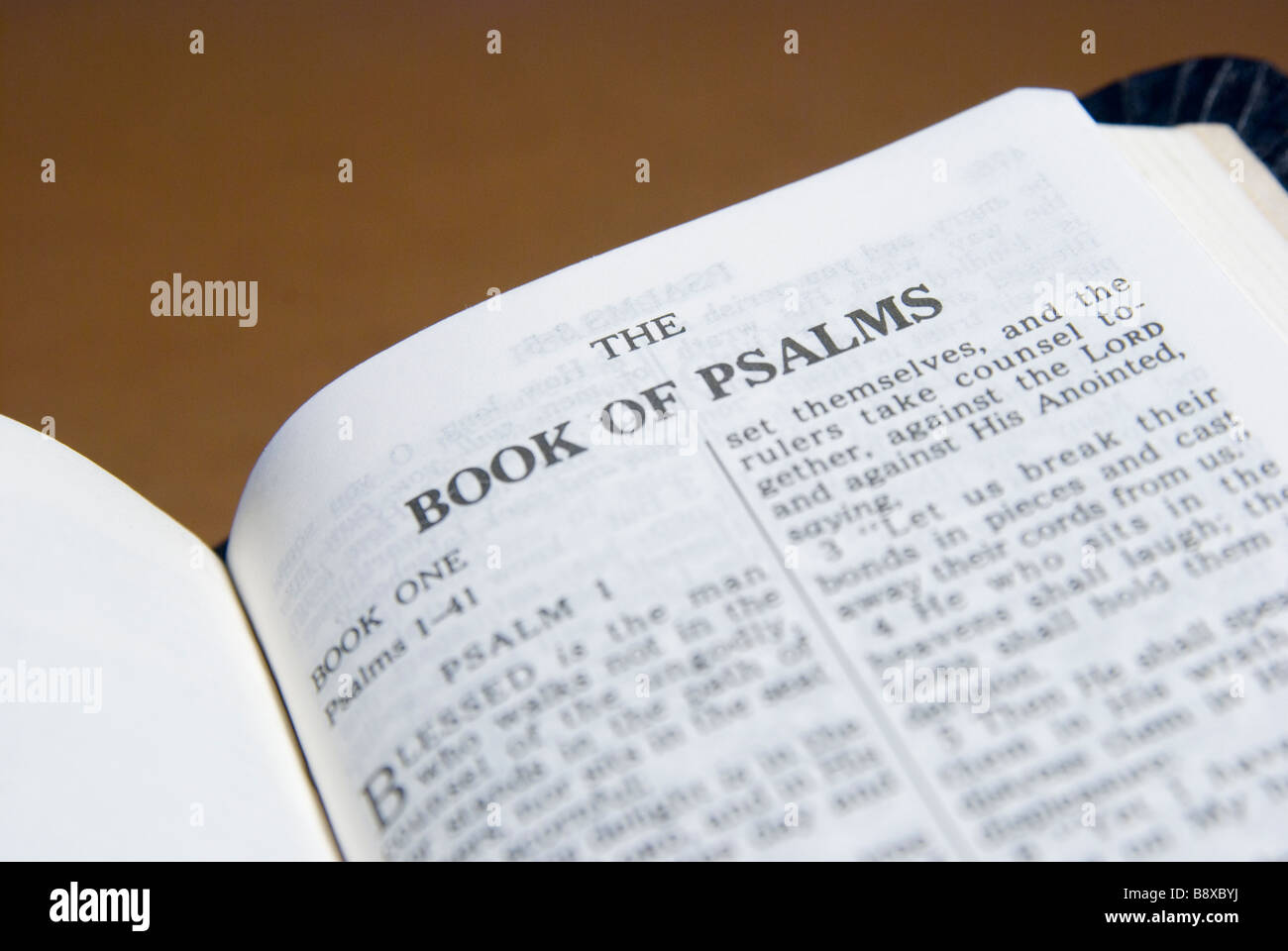 Salmi capitolo della Sacra Bibbia Foto Stock