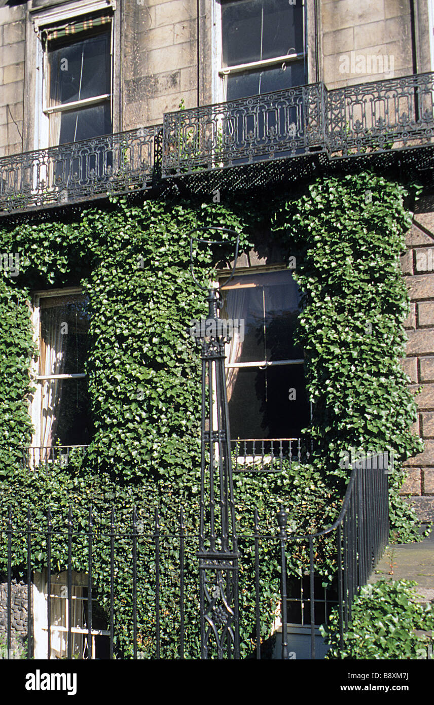 Edinburgh, House di Heriot Row con profusa ivy. Foto Stock