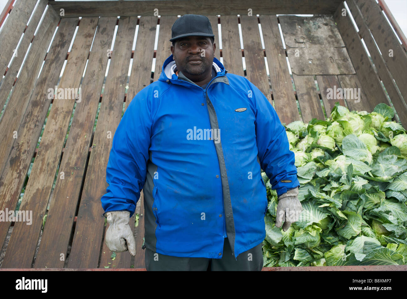 Lavoratore agricolo interessato Florida USA Foto Stock