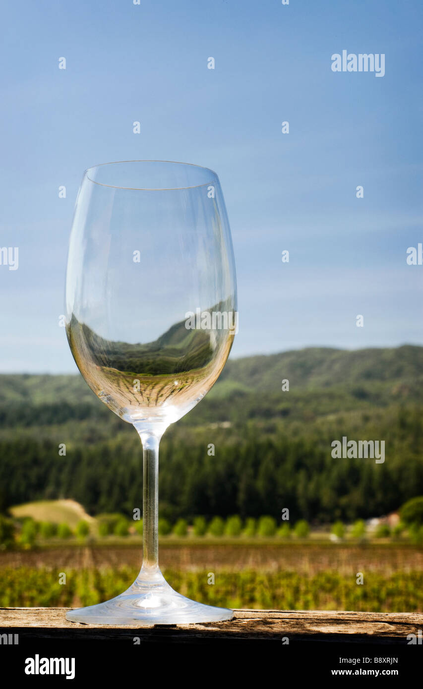 Vuoto in vetro di vino Foto Stock